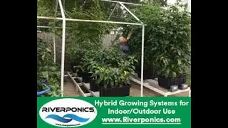 Bokashi Composting Method With Riverponics Growing Systems