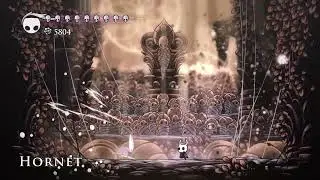 Beating Hornet until Hollow Knight: Silksong comes out.Day 790.