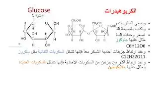كيمياء الخلية 2-4