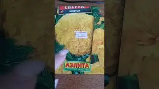Рассада на окне🌱 Планируемые посадки💯