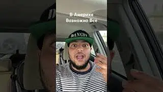 Только в Америке Так Бывает 