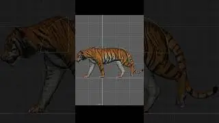 MAYA SOFTWARE ANIMATION TUTORIAL: CATWALK ANIMATION| DEKHO CGI