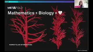 Elissa Ross, CEO and cofounder of #Metafold3D on #Mathematics and #Biological #systems