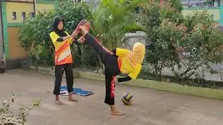 Yap chagi meiva
