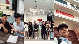 Ngày đầu tiên đi làm tại Schannel của Harry