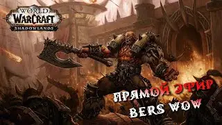 Шаман энх прокачка 52 - 60! World of Warcraft Shadowlands стрим