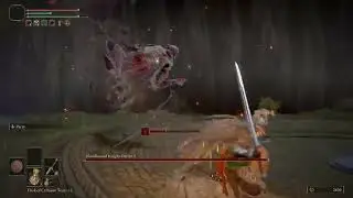 Beat Bloodhound Knight Darriwil!