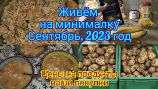 Живём на минималку ! 2023 год , сентябрь , меню,цены в магазинах