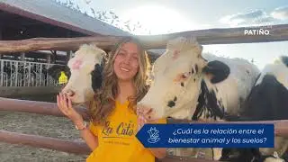 Bienestar animal