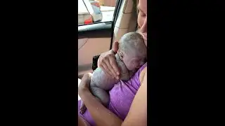 Amelia's Car Birth