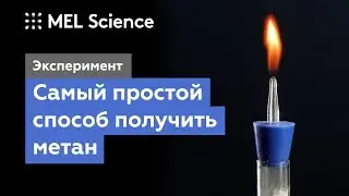 Самый простой способ получить метан (Эксперимент «Реакция Дюма»)