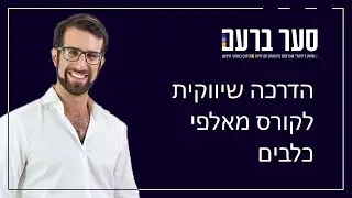 הדרכה שיווקית לקורס מאלפי כלבים