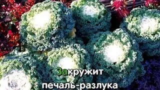 Караоке.Не бывает вечного счастья.