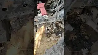 आपकी मनपसंद बलेनो के हालात??