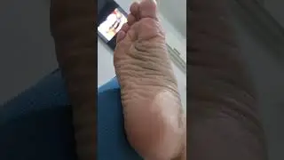 Would you love to eat them?