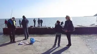 Азовское  море!!---- Живем   У моря!!!!--Рыбаки вышли на рыбалку!!!