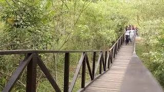 Bastidores do projeto AMA do Grupo Petrópolis em parceria com Instituto Chico Mendes