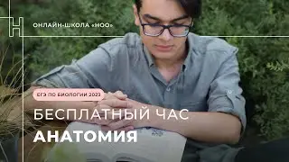 АНАТОМИЯ ЕГЭ ПО БИОЛОГИИ /  НОО