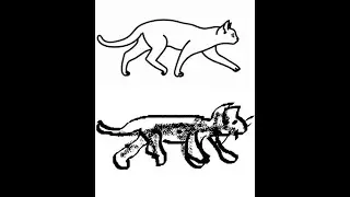 tutorial como dibujar una gato por paint  #Shop