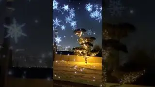 С Всемирным днём поэзии!