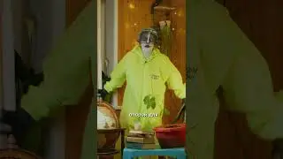 Кот ученый отвечает на вопрлс - что такое пятка? 🦶