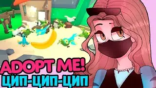 СРОЧНО! КАК ПРИМАНИТЬ ПОПУГАЕВ в адопт ми. Дождливое обновление Adopt me - СКОЛЬКО СТОИТ