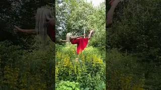 How to Find Balance ~ #harmony #life #shortsvideo #music #happy