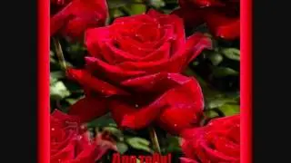 Цыганочка с выходом-текст песни и исп. - Цыганка Нелли Энгельманн/Якина