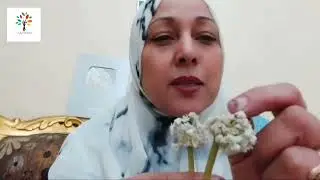 هام للصف الثالث الثانوى مفاجأة فى الفيديو