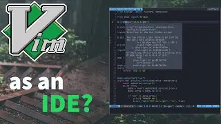 Setup Neovim like an IDE