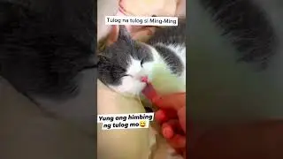 Tulog na tulog si Ming-Ming