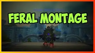 Sleizer | Feral World PvP Montage