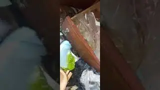 Сталк в заброшенный пионер лагерь СССР!! Много электроники!!