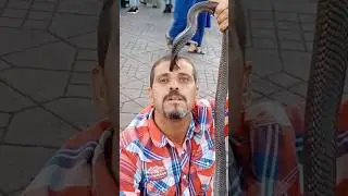 Их ЗАПРЕТИЛИ и Вот ПОЧЕМУ! Заклинатели Змей 