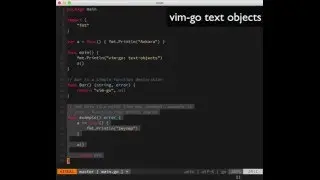 vim-go: text function selection objects
