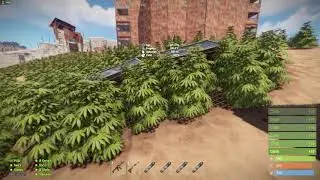 Farmin on Rusty Moose