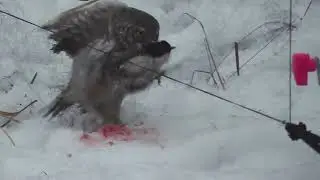 Выбрались на ловлю