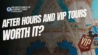 Reviews! Our Disney VIP Tour and Hollywood Studios After Hours