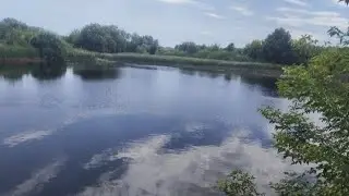 Пробую ловити амура на пуфіки|Нова локація для риболовлі #рибалка #fishing #амур #ставок