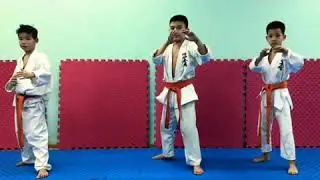 Маваши  Mawashi