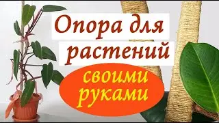 Опора для растений из джута своими руками | Комнатные цветы на опоре