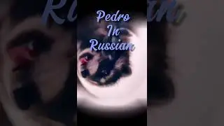 Спустя две недели, натянули ленту 🙈