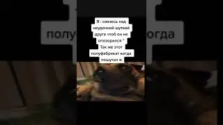 мем 