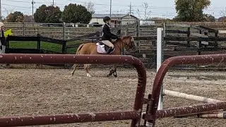 FIFTH PLACE IN THE IEA X RAILS (Lucy)