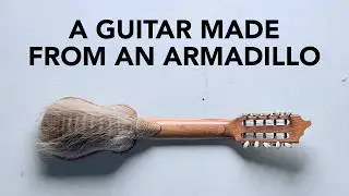 I finally got a Charango! It's a guitar made out of an armadillo shell