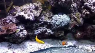 Full Tank Shot Friday 10/28 update