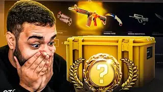 O Profit Insano Chegou - Este Evento Está Sensacional! Melhor UPGRADE