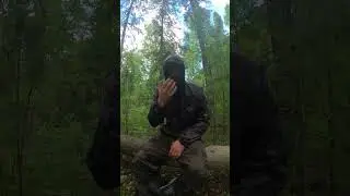 Сетка на лице защищает не только от комаров! #выживалыч #дикаяприрода  #бушкрафт  #survival