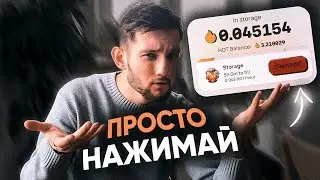 Получить крипту БЕСПЛАТНО - аирдроп от NEAR WALLET