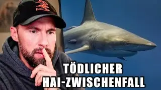 30 Jährige stirbt nach Hai-Zwischenfall - Was ist passiert? | Robert Marc Lehmann